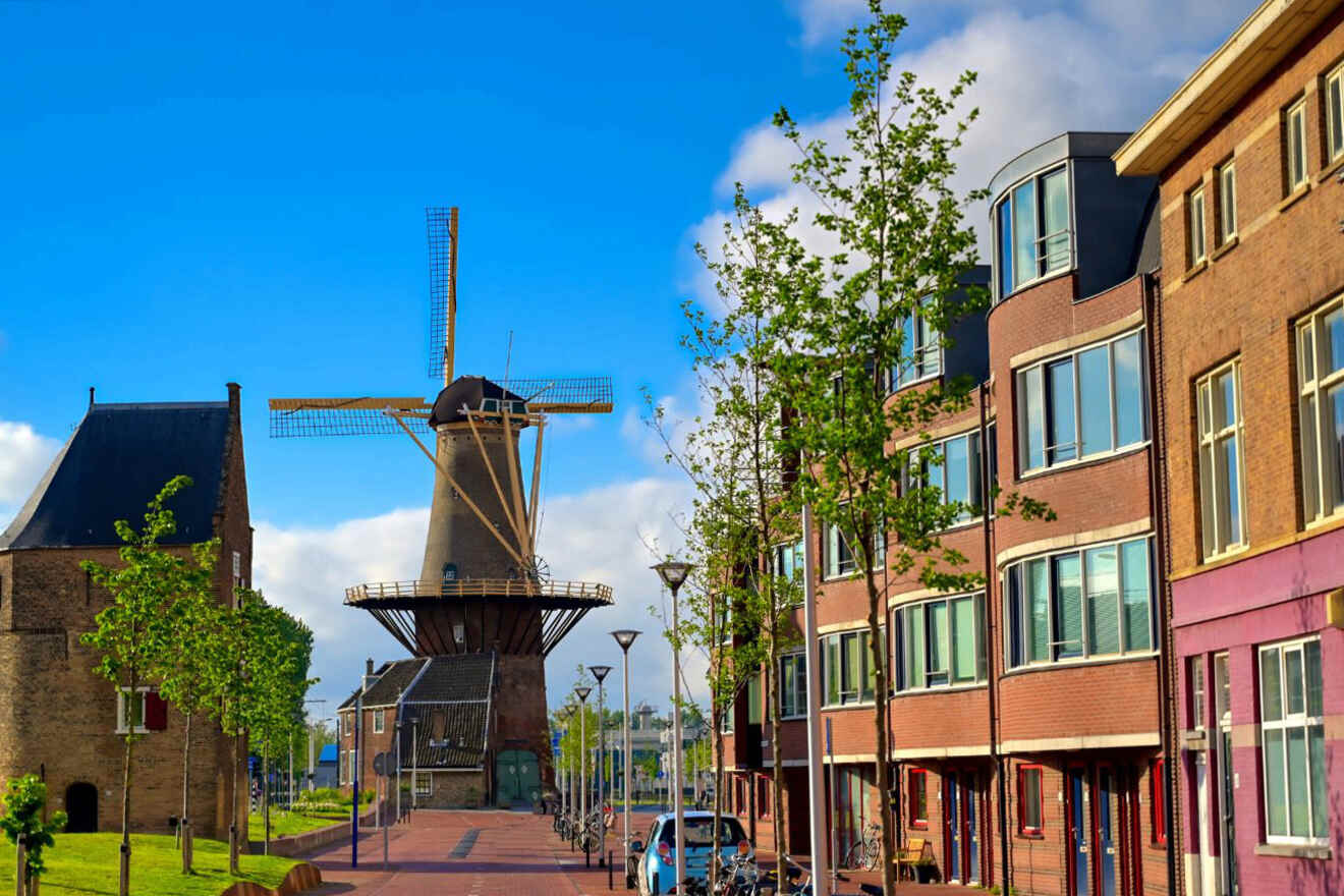 9 Dutch milling Windmill de Roos