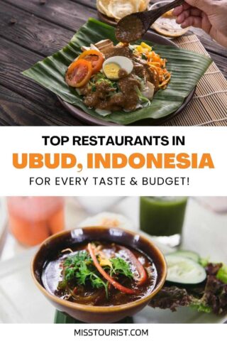 Restaurants in Ubud PIN 1