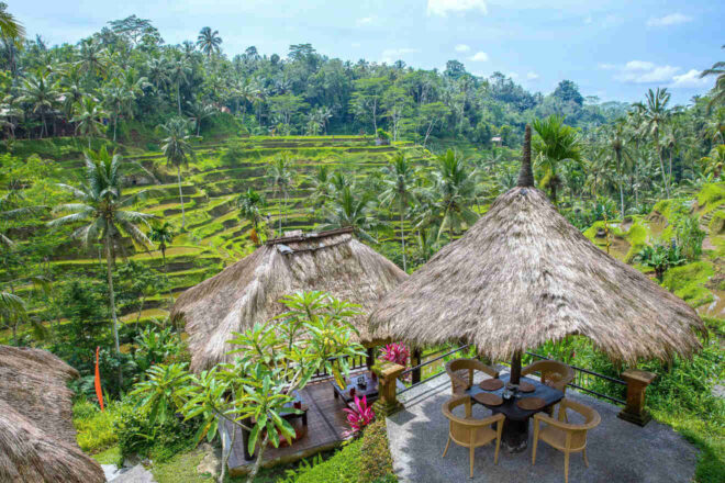 30+ Top Restaurants in Ubud → for Every Taste & Budget!