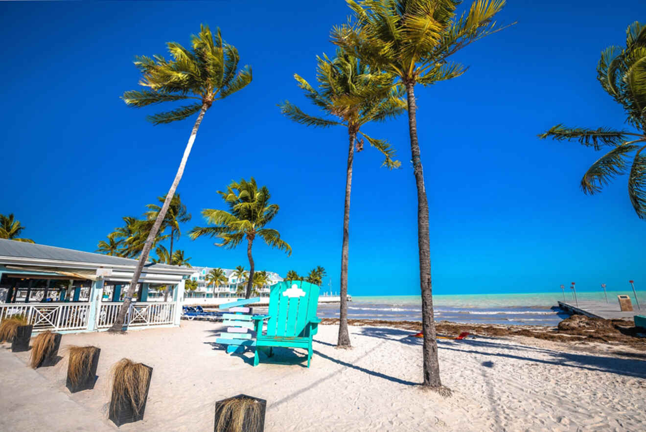 sun lounger under a palm tree on the beach