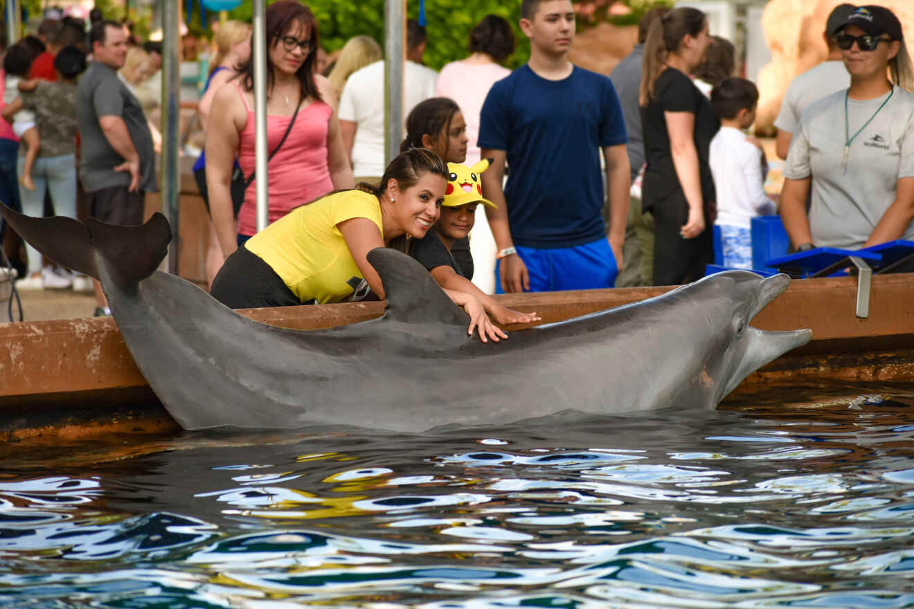 1.3 SeaWorld Orlando