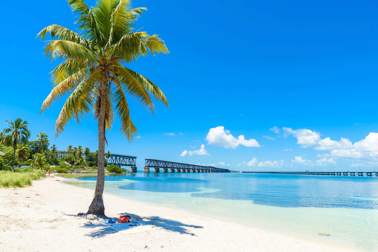 white sand beach with palm trees and the famous broken bridge at Bahia Honda State Park
