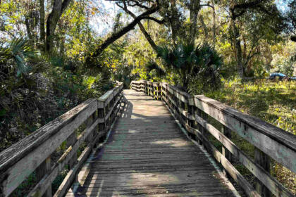 Best Hiking Trails in Orlando ️ 10 Adventures on a Budget