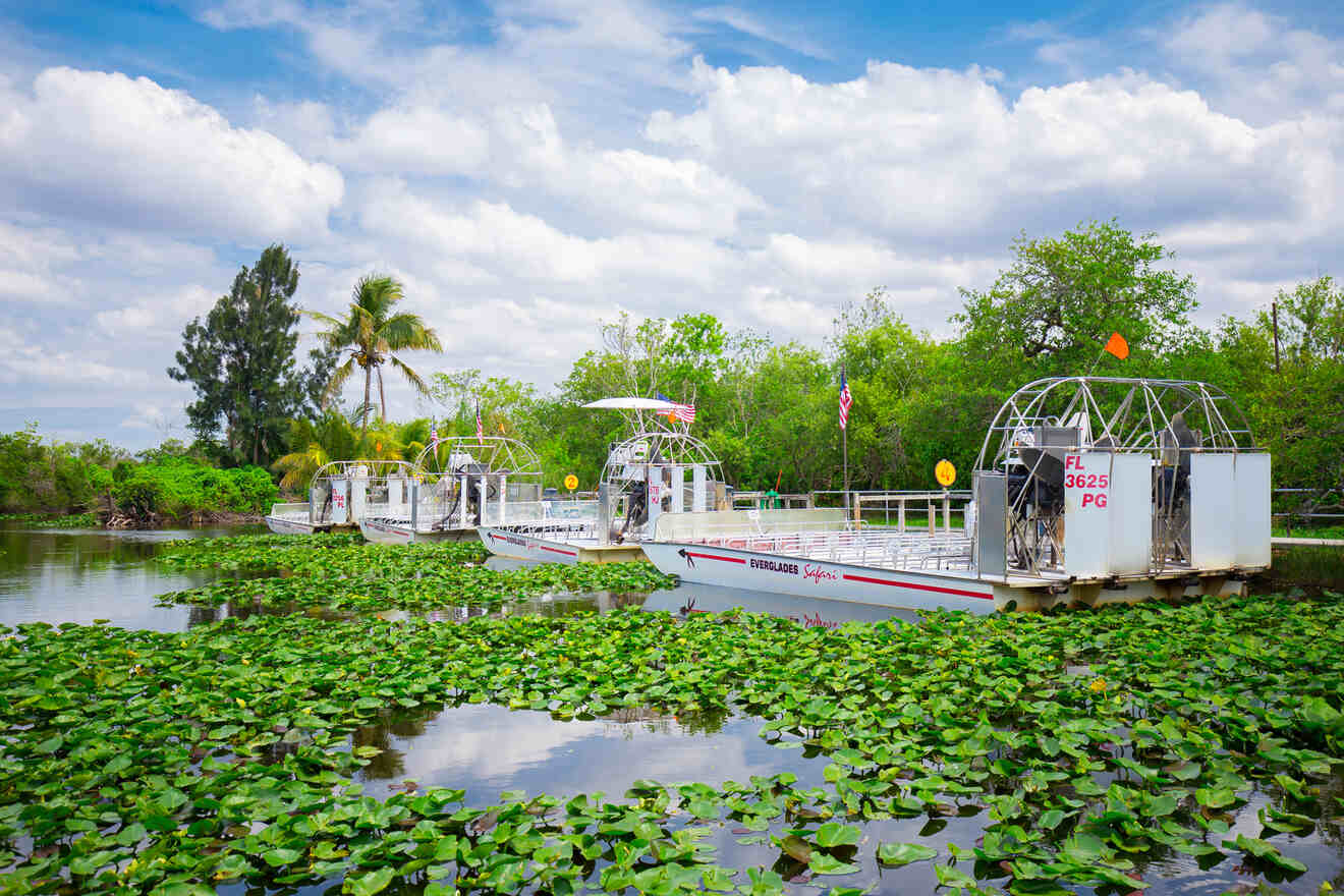 16 Florida Everglades airboat top tours