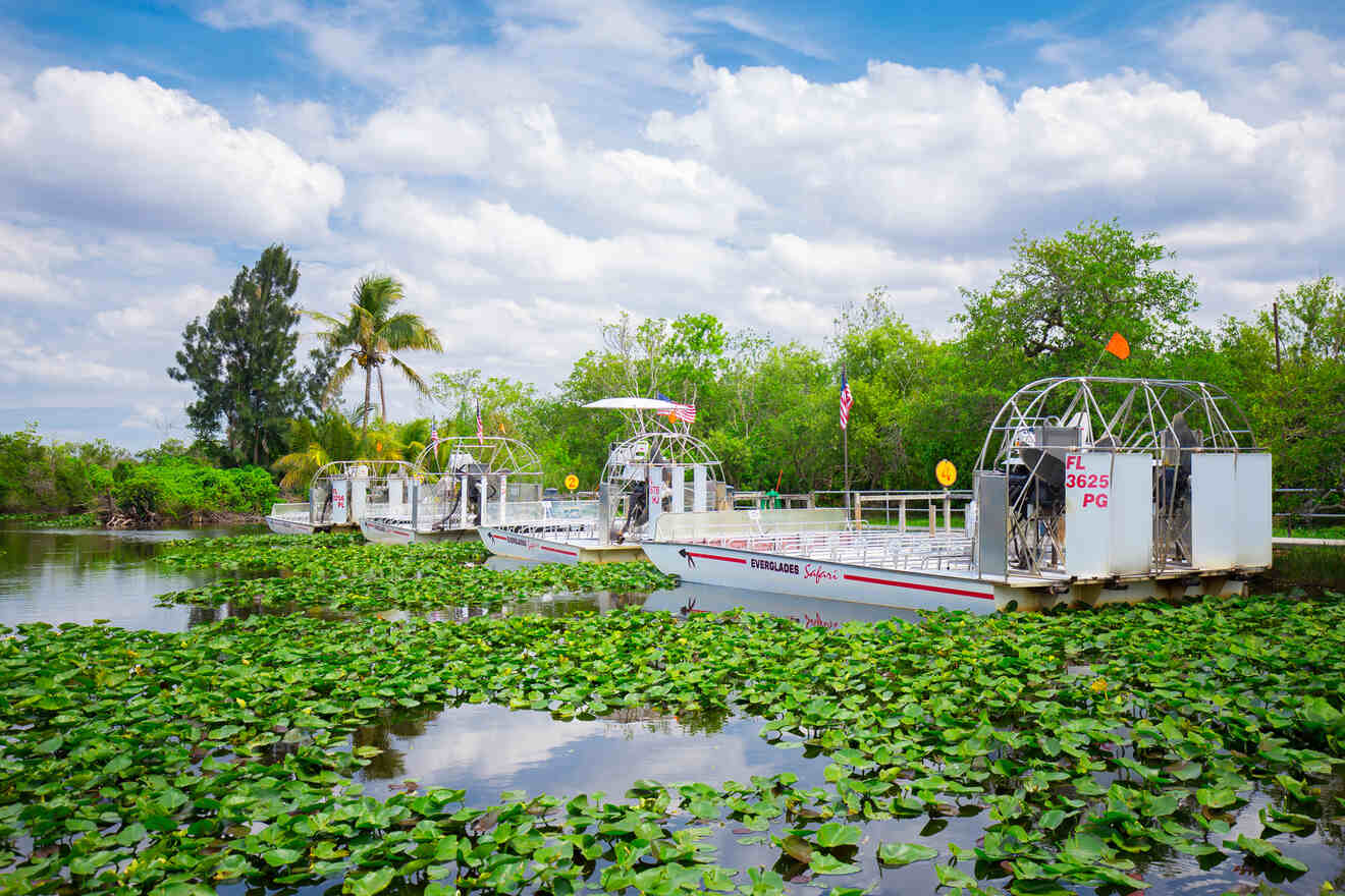 airboats everglades