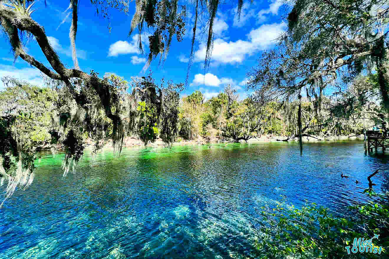 16 best natural spring in Florida