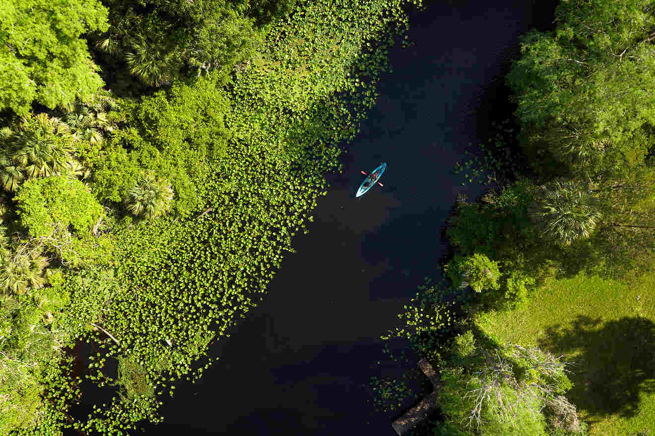 17 natural springs near Orlando Man kayaking in Wekiva river near Wekiva Island