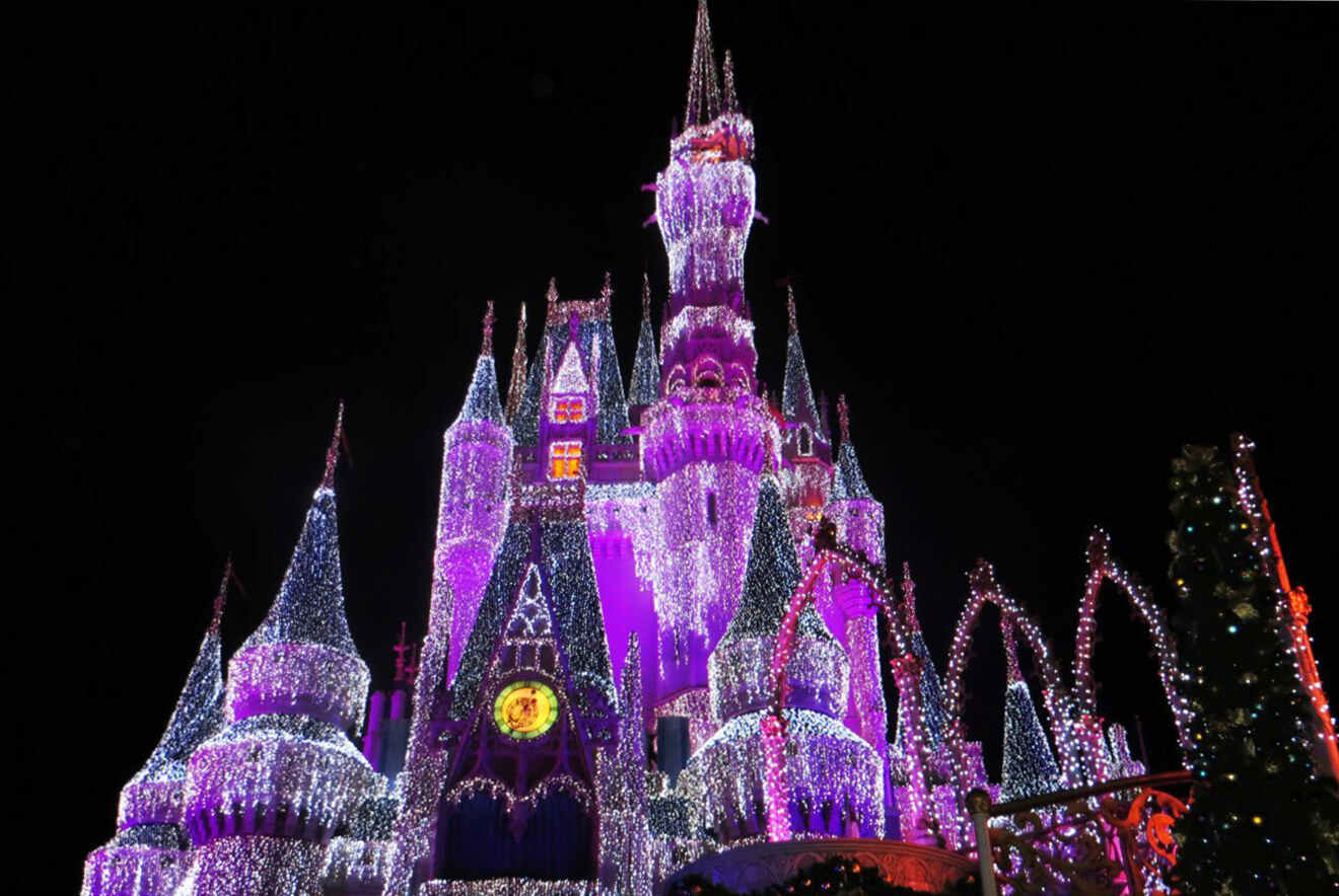 Disney's castle at night 
