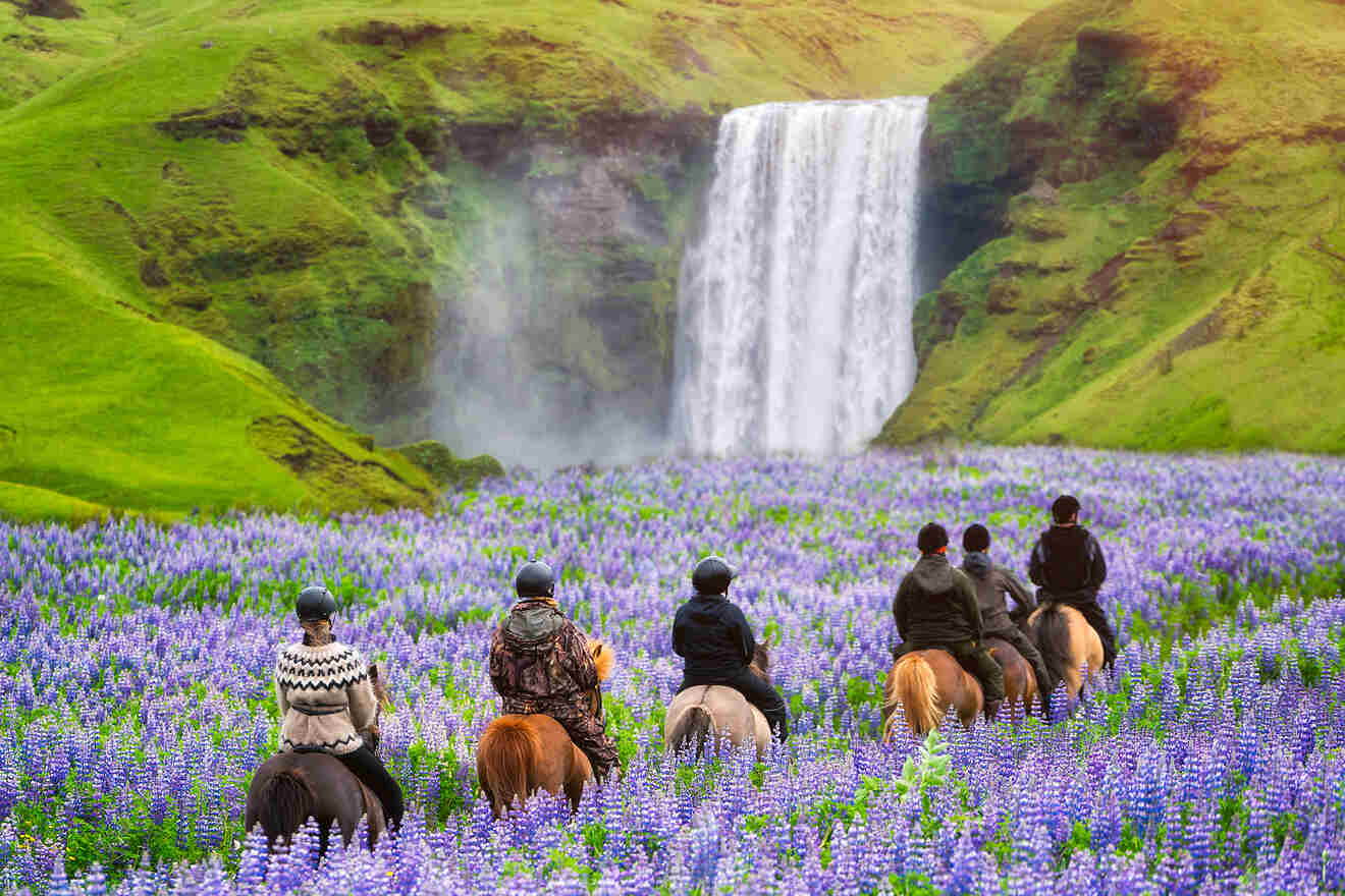 3 horse riding tour near Reykjavik
