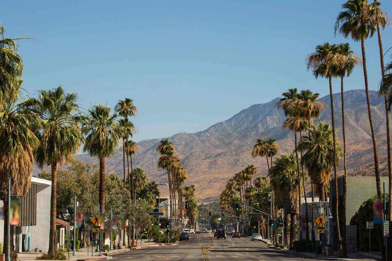 a palm tree lined street with a mountain in the background