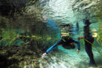 15 Best Natural Springs in Orlando & Central Florida + Tips!