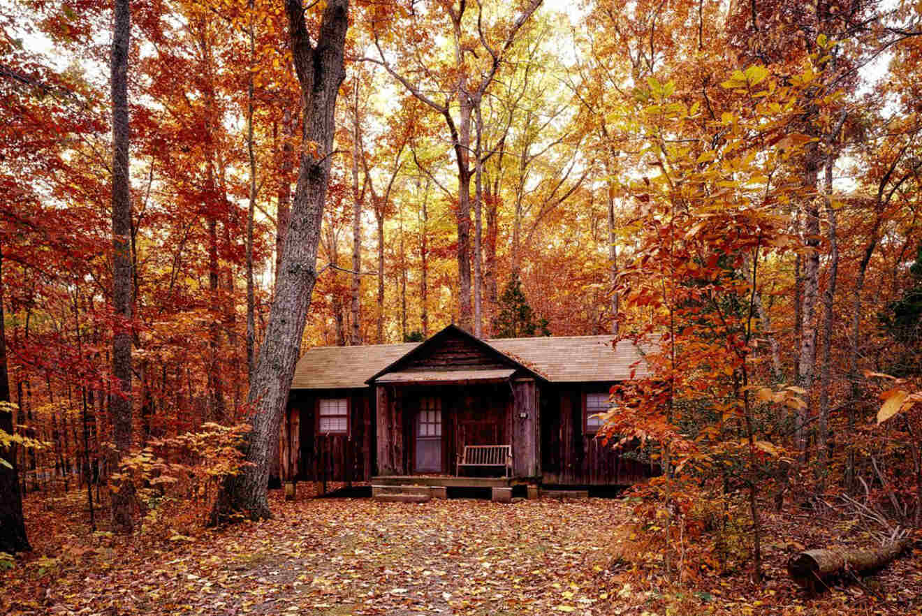 6 best romantic cabin rentals in Pennsylvania