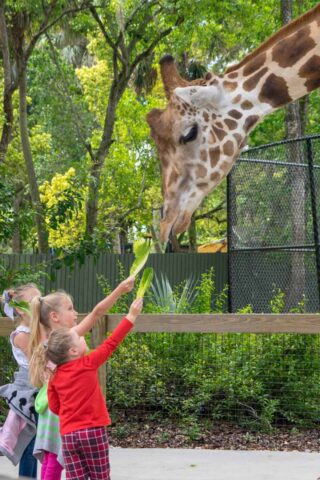 7 Central Florida Zoo and Botanical Gardens tickets