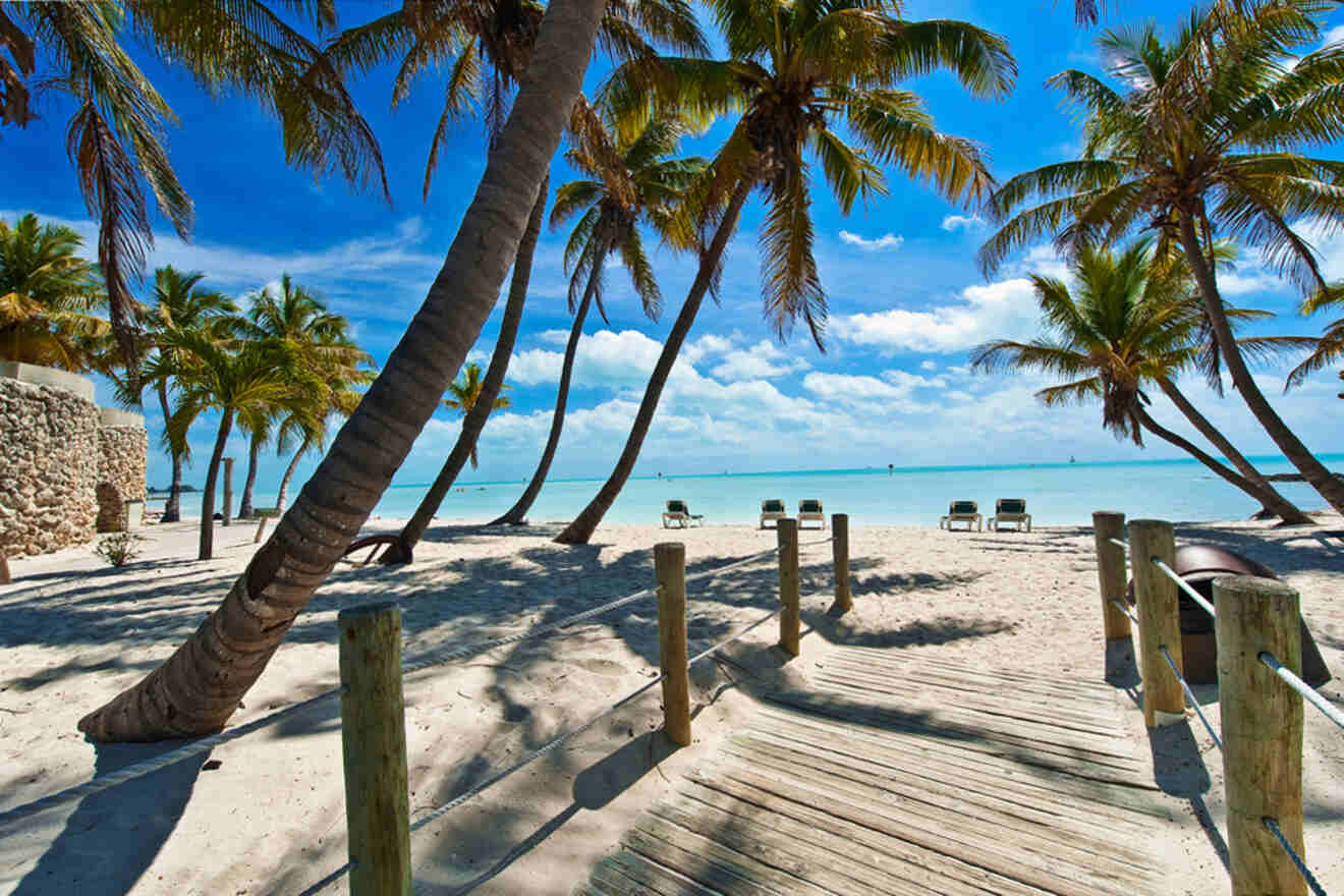 wooden path to the beach