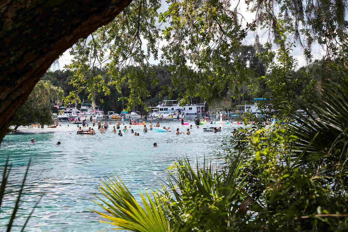 Dive Into These Gorgeous Natural Springs in Orlando