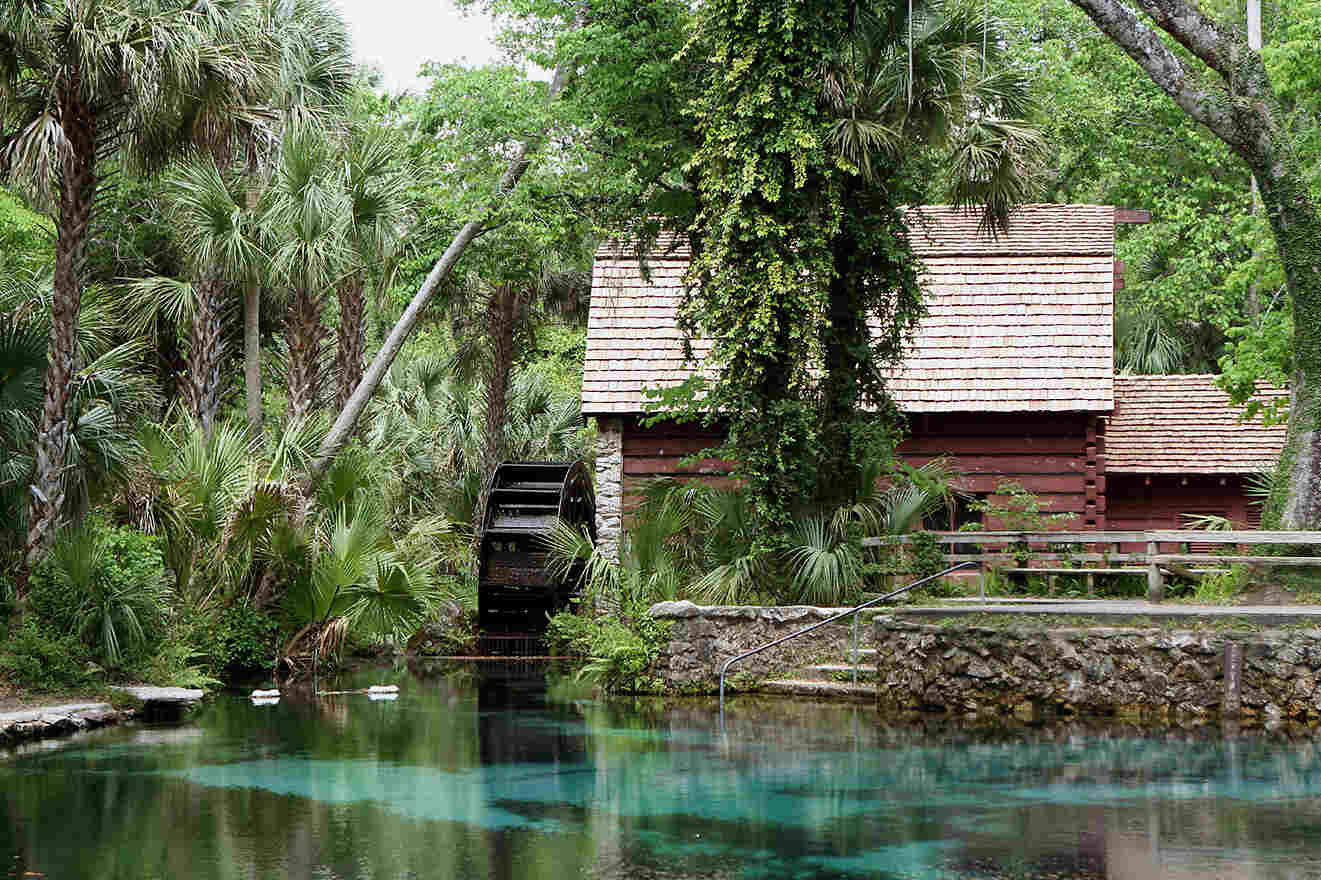 8 Juniper Springs near Orlando