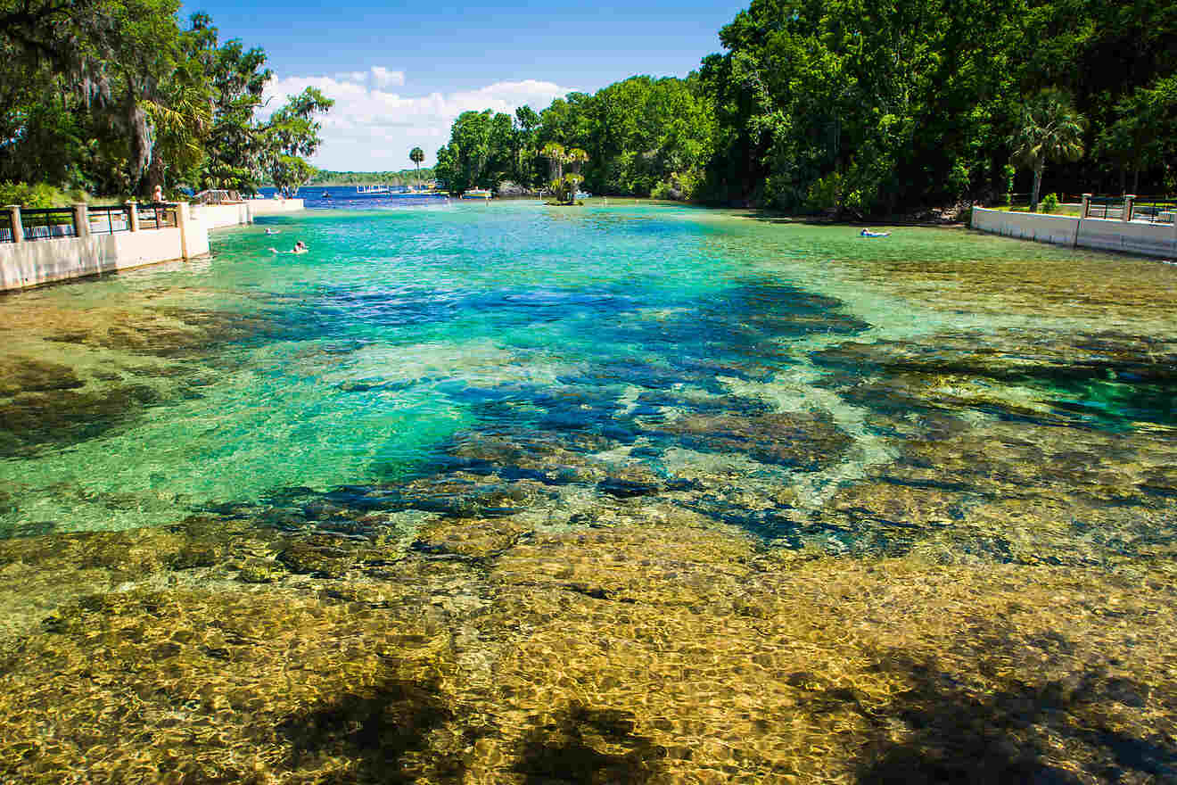 Discover 11 Natural Springs Near Orlando: Explore Hidden Gems in