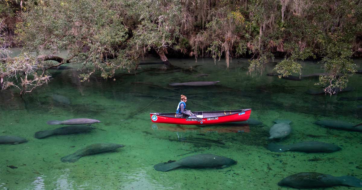 Beautiful Springs in Central Florida You Need to Visit - Gallivanting Laura