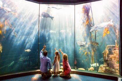 19 Fun Things to Do in Tampa with Kids → By a Local!