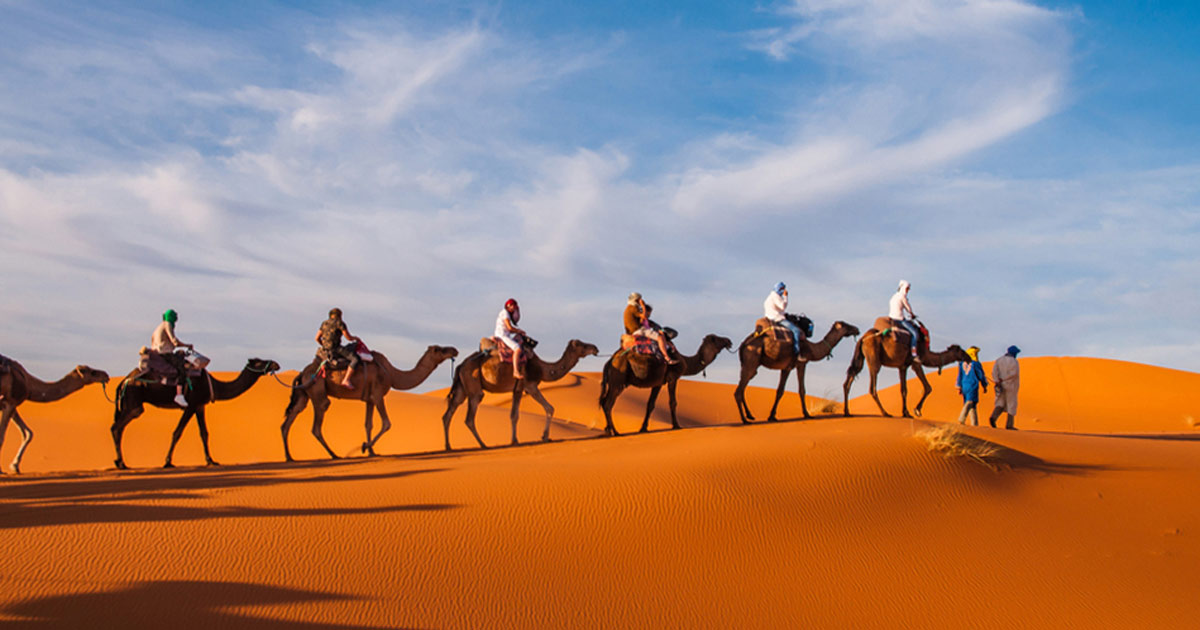 The Top 10 Marrakech Tours ️ for Every Taste & Budget