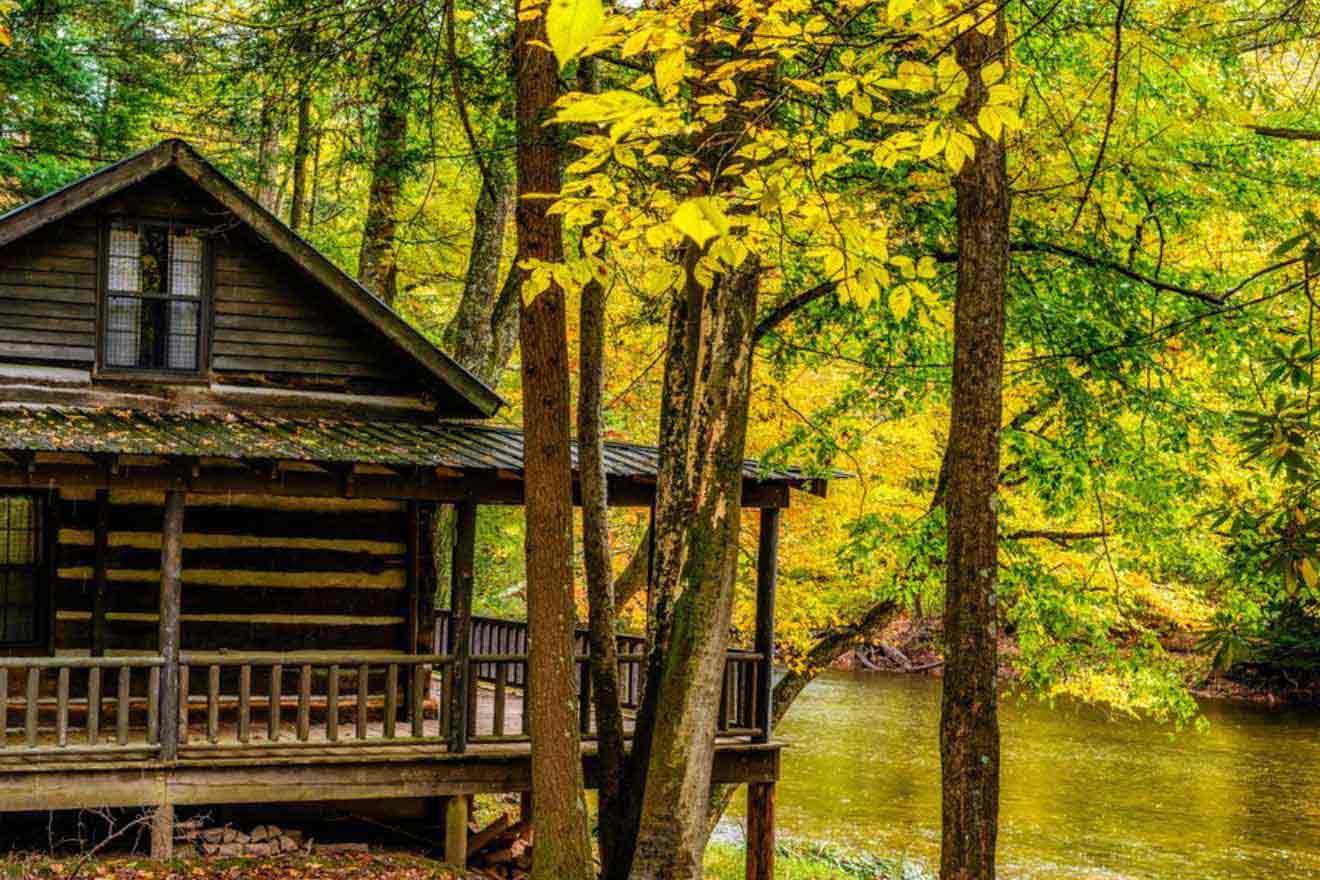 cabin in the woods next to a river