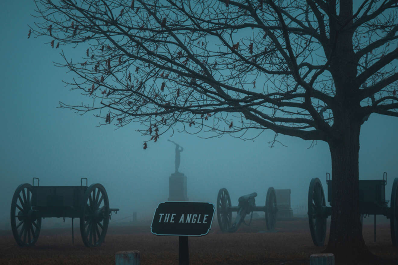 various canons on a foggy night