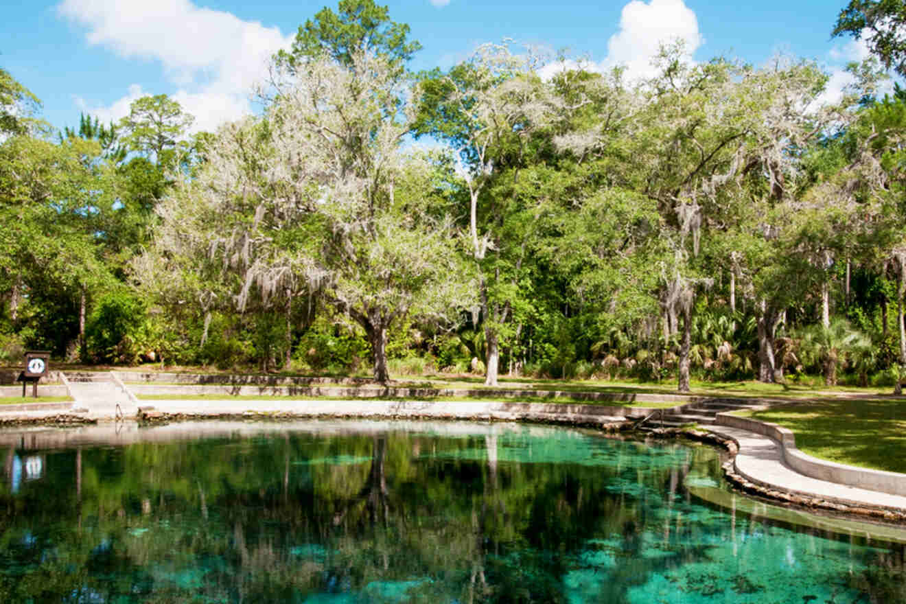 Photo clear water and trees of Juniper Springs in the Ocala National Forest