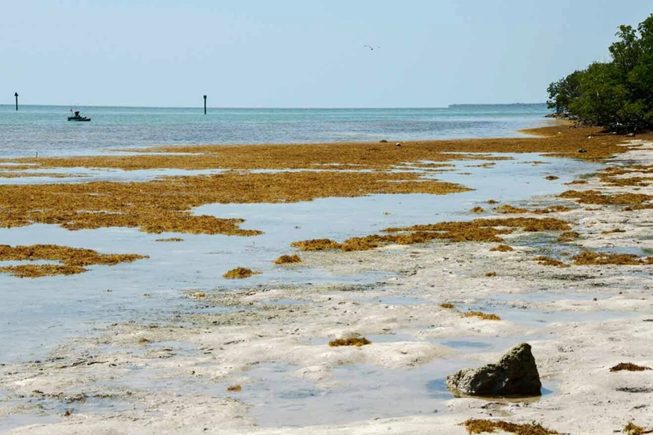 Annes Beach view at Islamorada