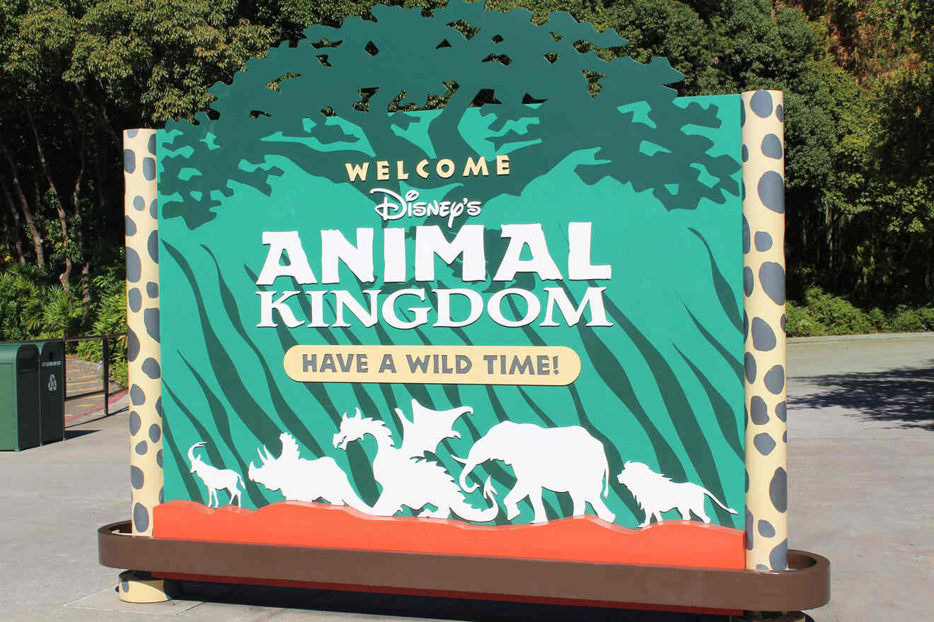 animal kingdom entrance