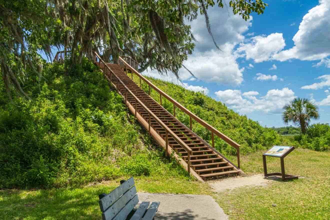 image of the stairs at the crystal river state park