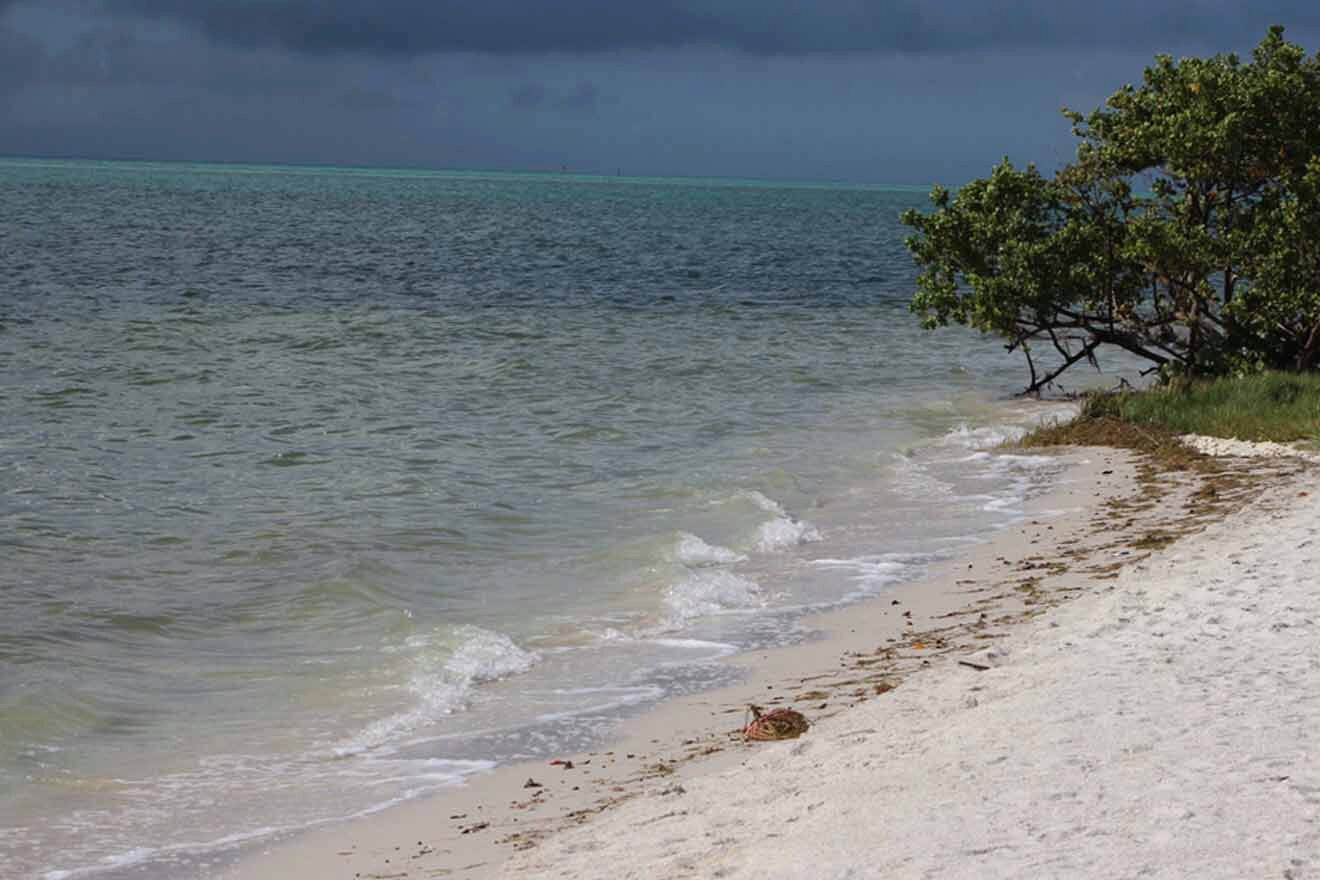 beach Florida Keys