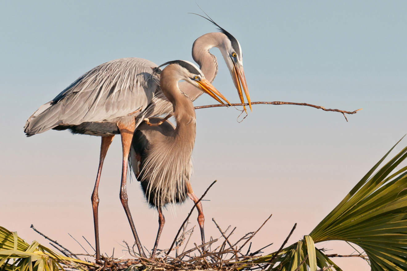 15 Ritch Grissom Memorial Wetlands