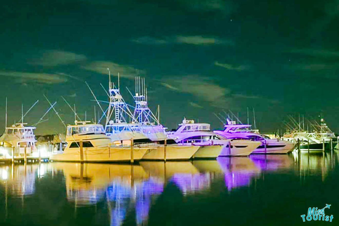 boats in the harbor at night 
