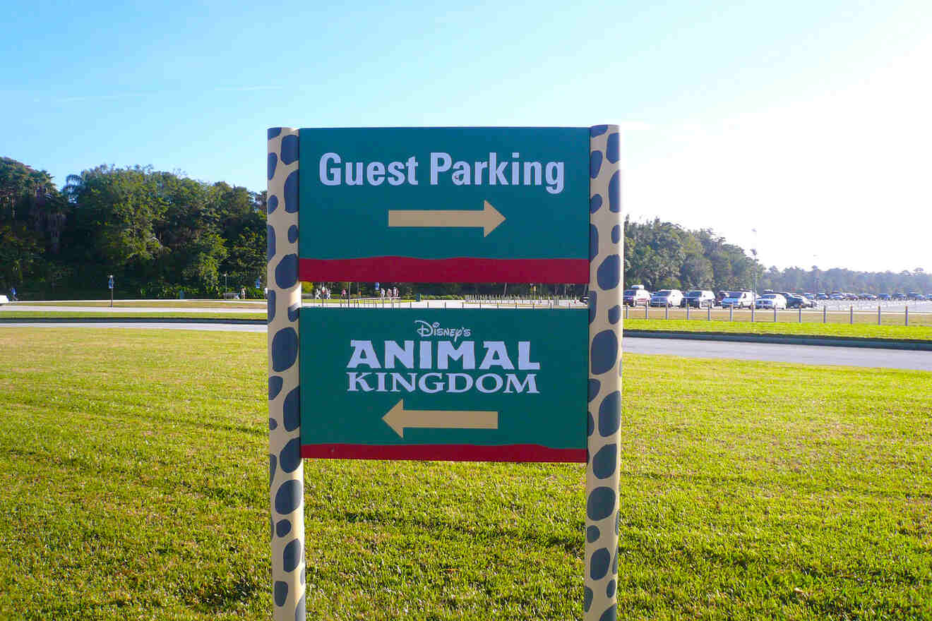 orientation signs at Animal Kingdom