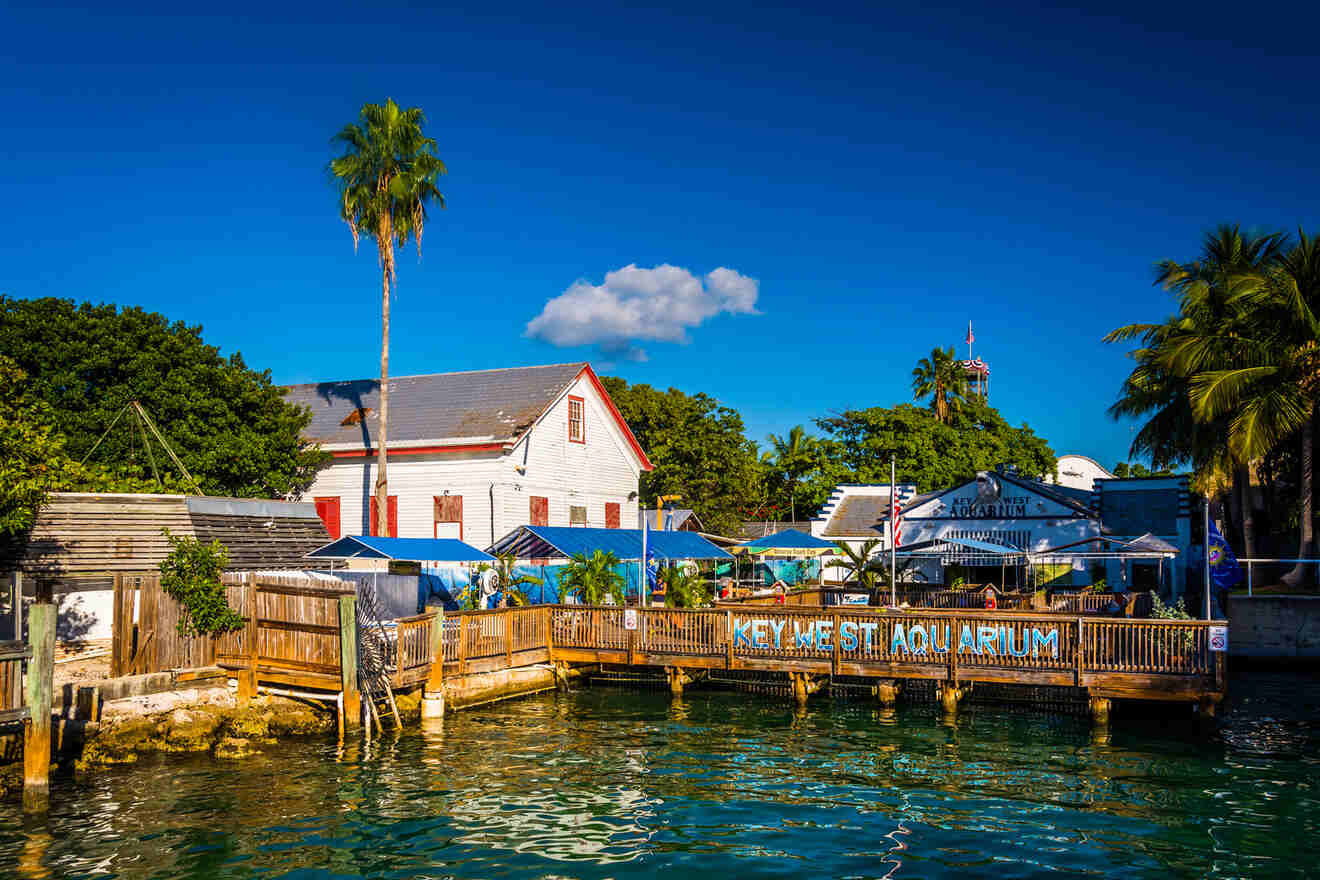 17 Key West Aquarium best things to do with kids