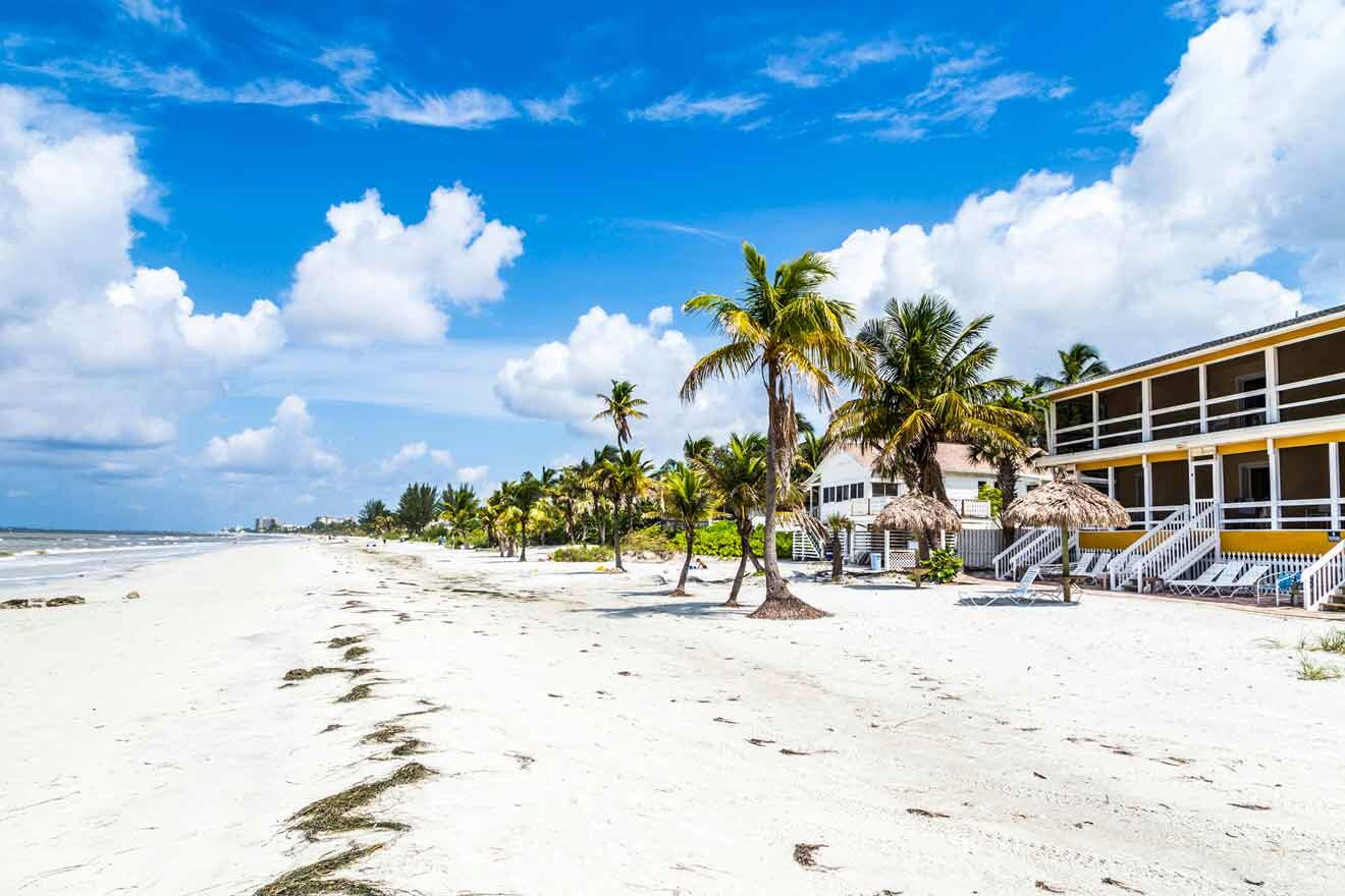 white sand beach with palm trees