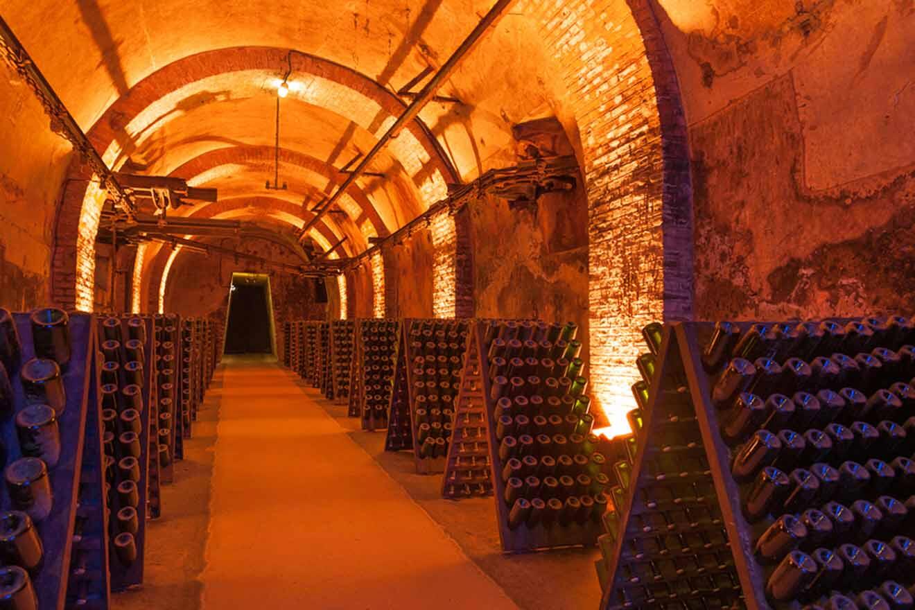 wine cellar at Reims