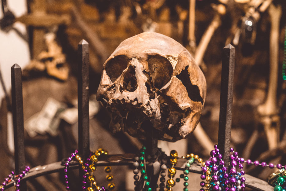skull on a gate with pearls