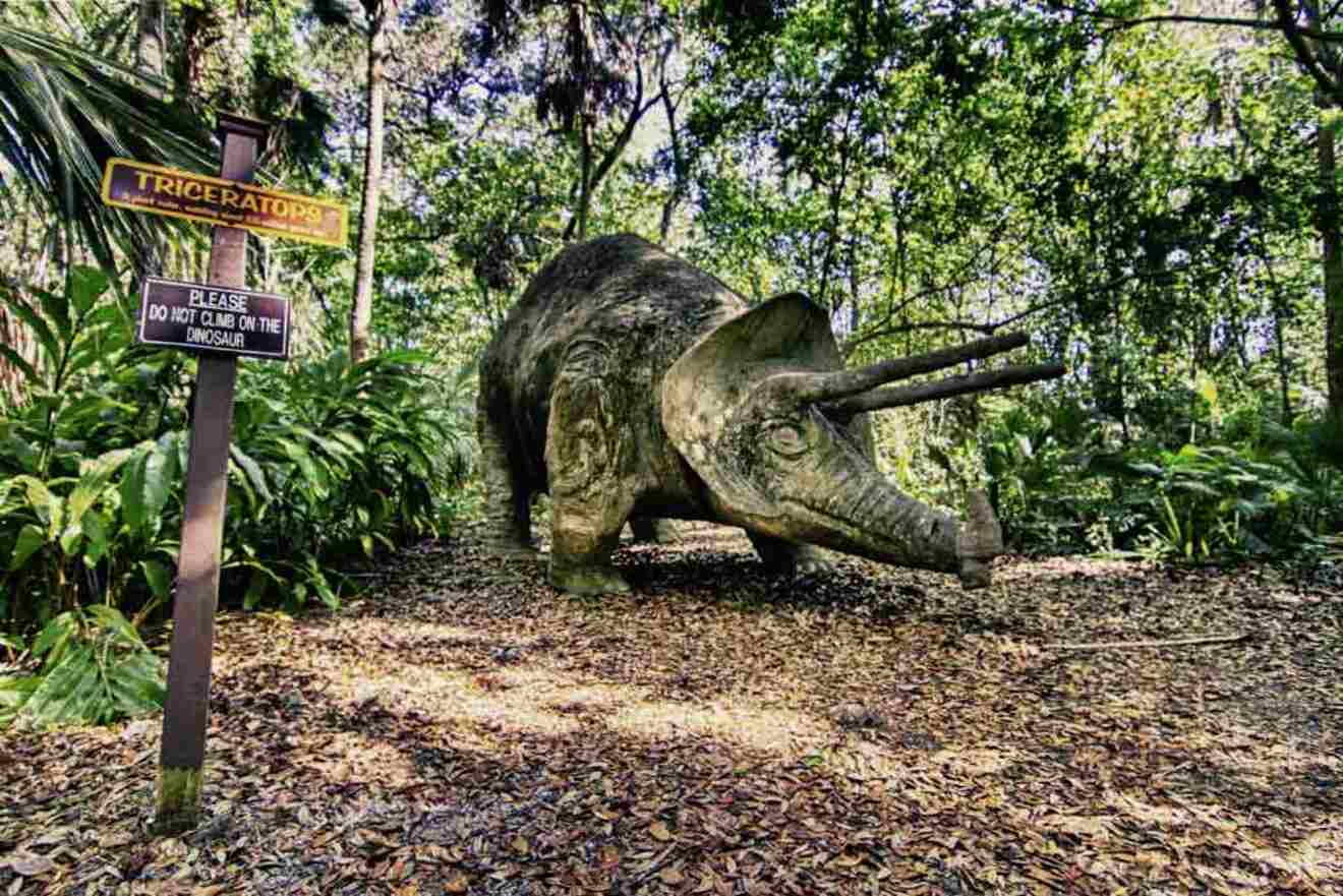 image of a triceraptor from the Dunlawton Sugar Mill Gardens