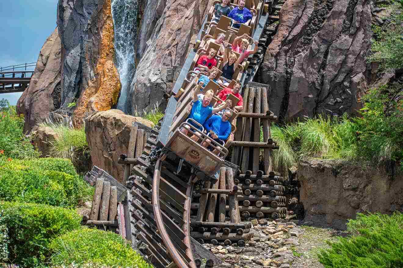 people having fun on a rollercoaster at Expedition Everest Animal Kingdom