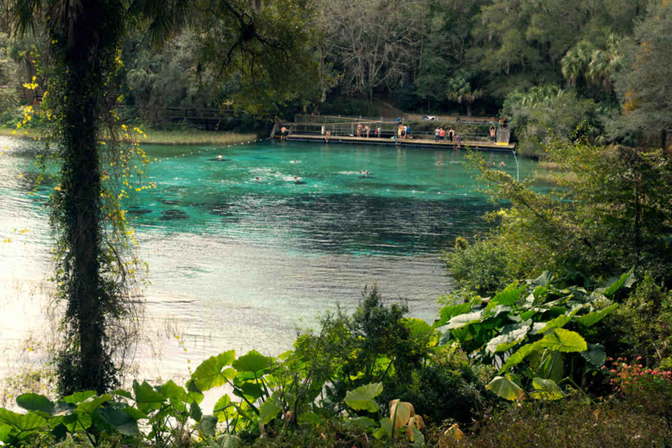 3 Rainbow Springs swimming area