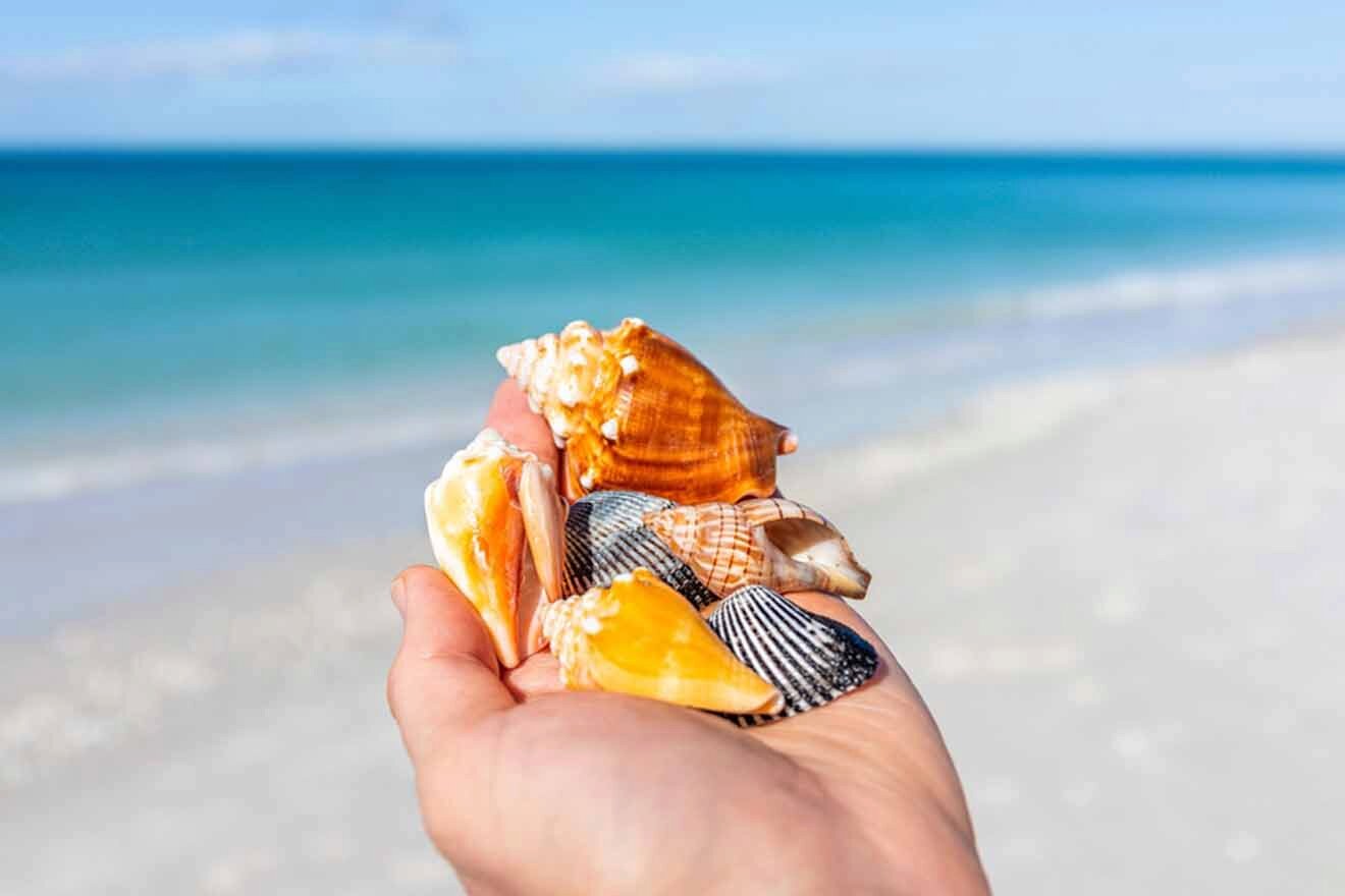 woman holding seashells on the beach