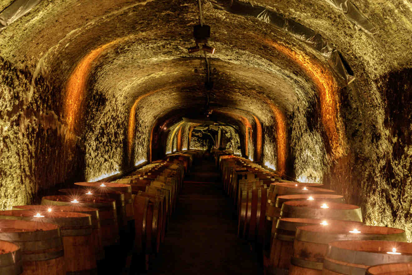 wine barrels in an underground wine cellar 