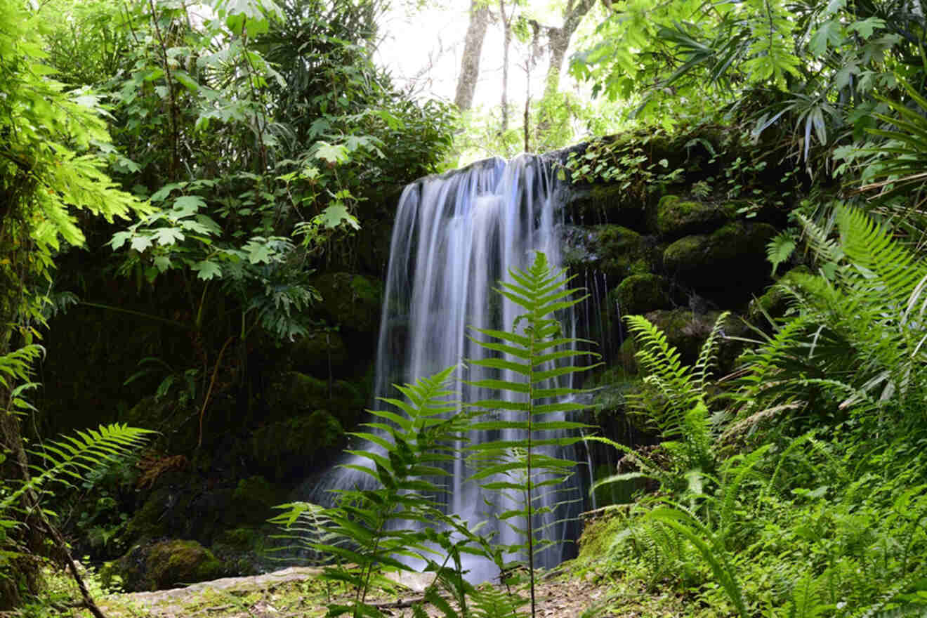 4 Explore the waterfalls at Rainbow Springs State Park