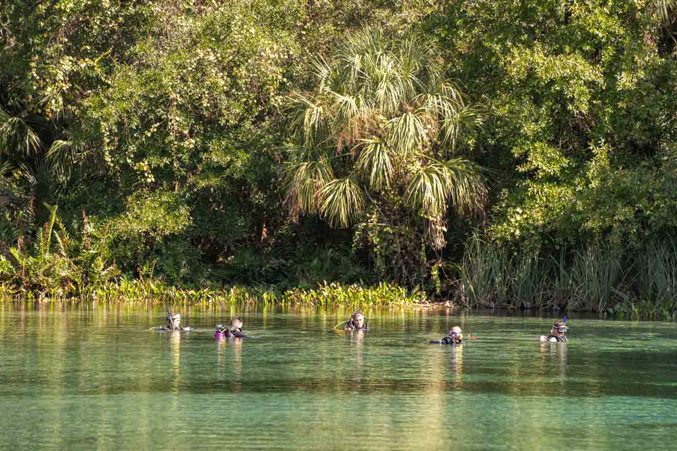 scuba divers in Alexander Springs