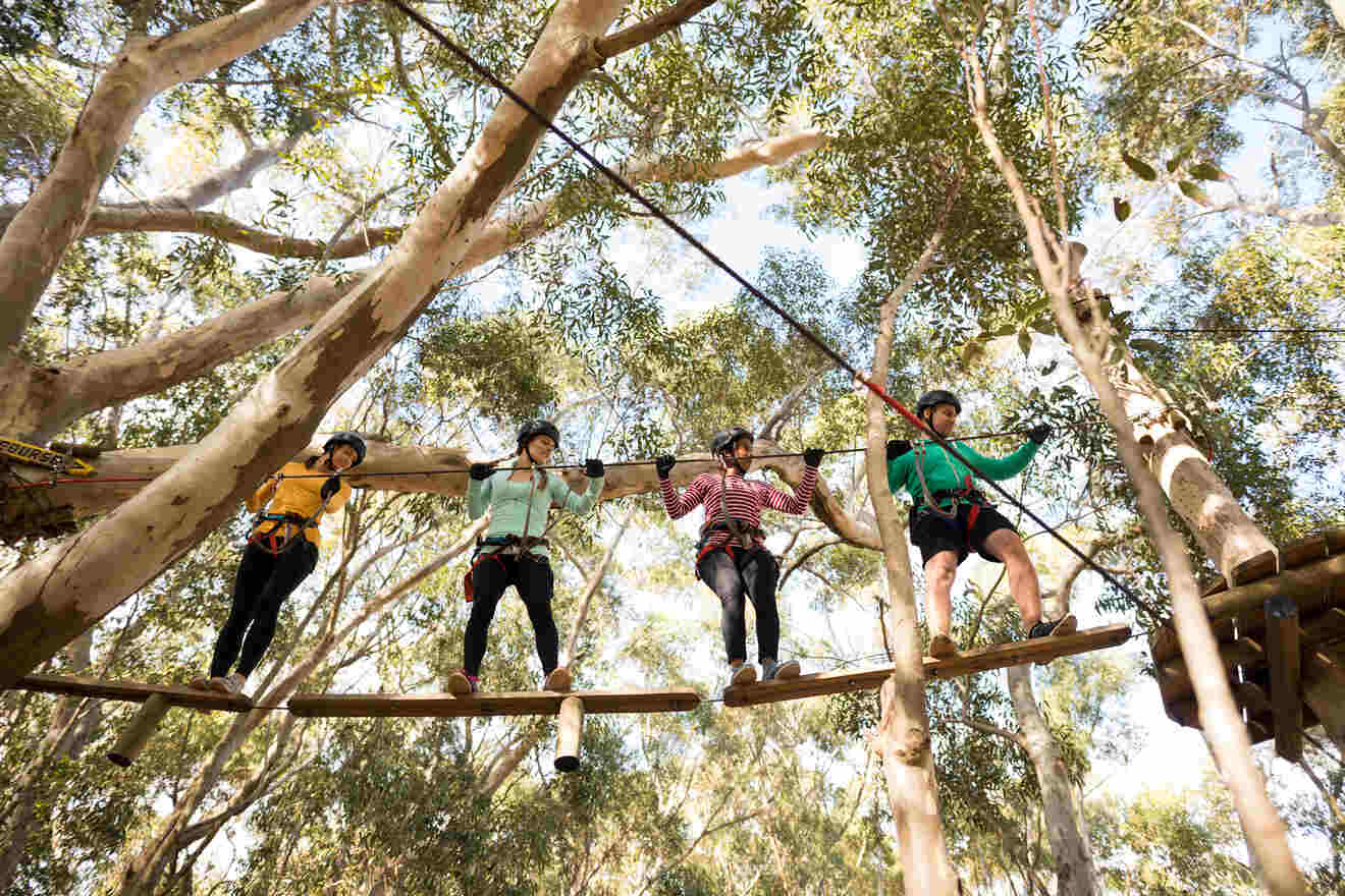 5 Canyons Zip Line and Adventure Park for family