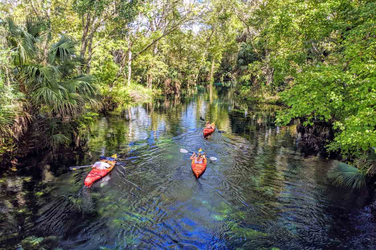 people kayaking in Silver Glen Springs