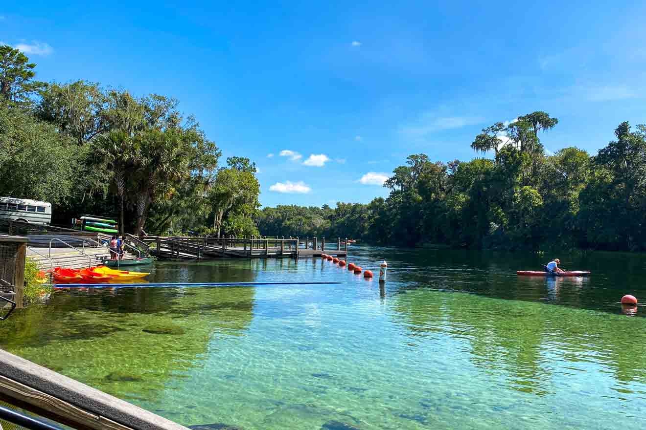 Rainbow springs kayaking 