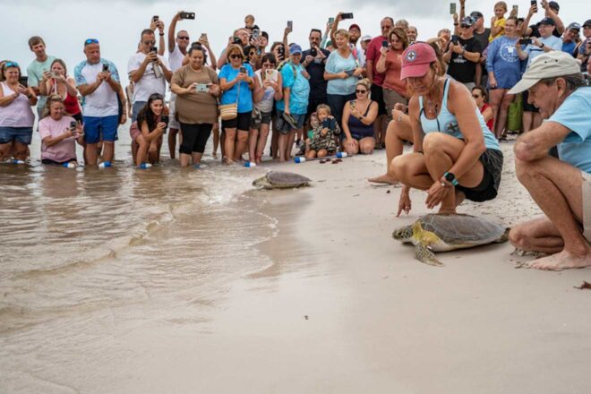 Overseas Highway Florida Road Trip → 13 BUCKET LIST Stops