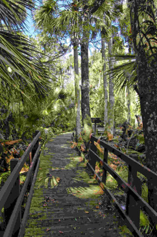 natural spring trail